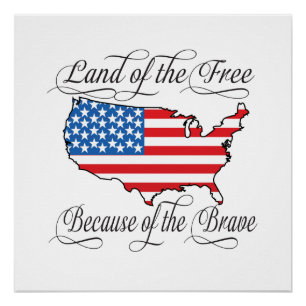 Land of the Free because of the Brave Patriotic US Poster