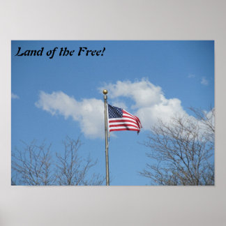 Land of the Free flag poster