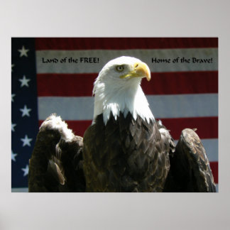 Land of the Free Poster
