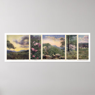 Land Of The Sky Poster 1917