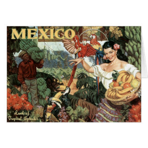 Land of Tropical Splendour