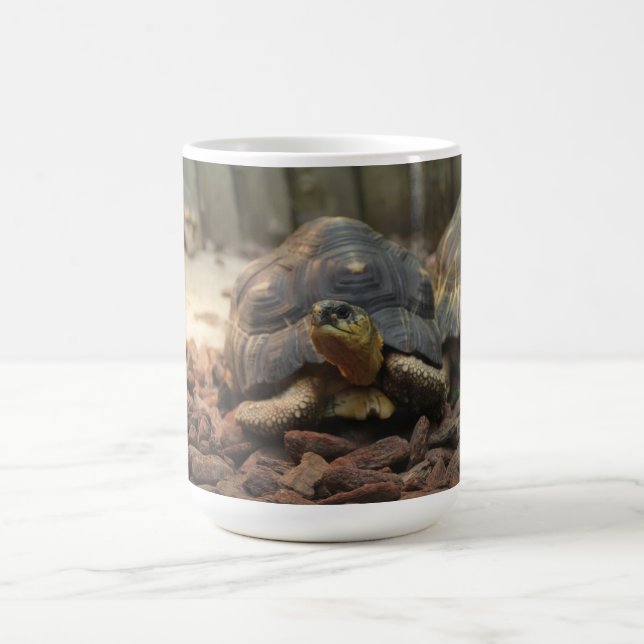 Land Turtle Coffee Mug (Center)