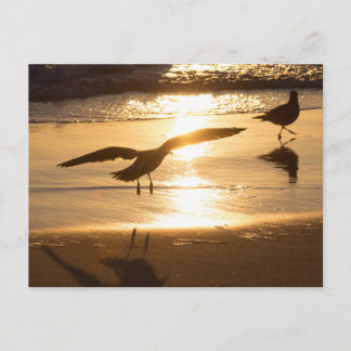 Landing approach postcard