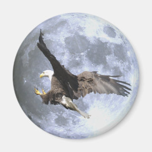 Landing BALD EAGLE & FULL MOON Wildlife Magnet