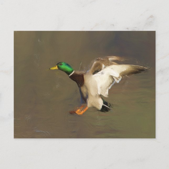 Landing Drake Postcard (Front)