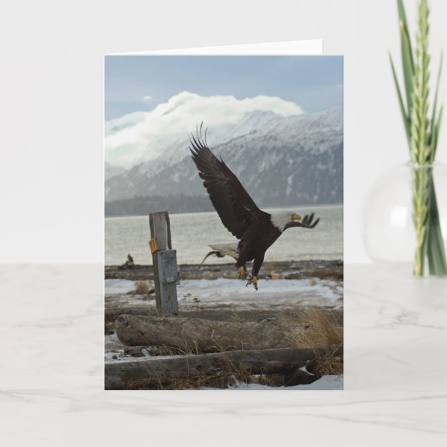 Landing Eagle Card (Front)