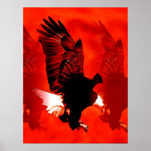 Landing Eagle Poster Print - Red Eagle Posters