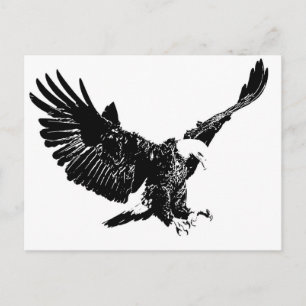 Landing Eagle Silhouette Postcard