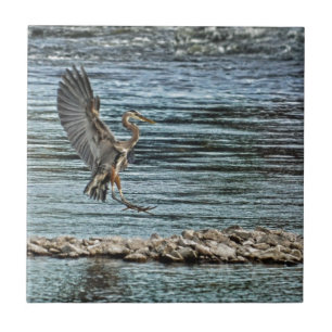 Landing Great Blue Heron Wildlife Birdlover Design Tile