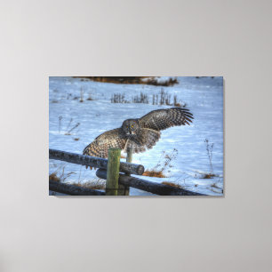Landing Great Grey Owl and Fence in Snow II Canvas Print