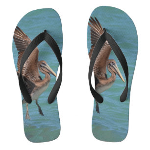 Landing Pelican Flip Flops