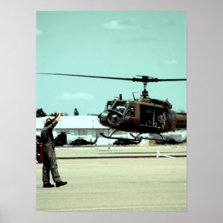 Landing the bird poster