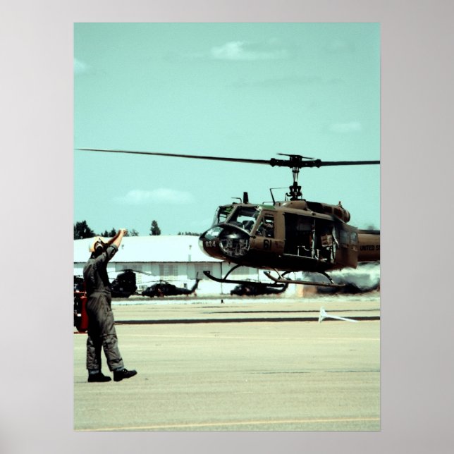 Landing the bird poster (Front)