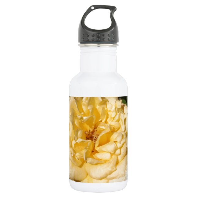 Landora 532 Ml Water Bottle (Front)