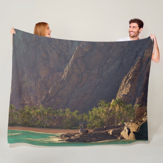 Land's End Fleece Blanket (In Situ)