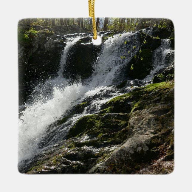 Lands Run Falls Ceramic Ornament (Front)