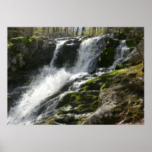 Lands Run Falls Poster