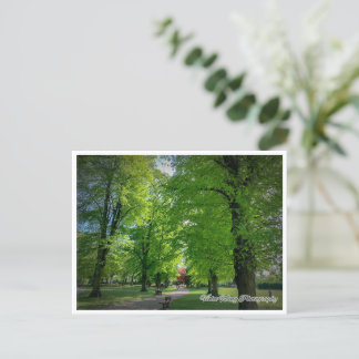 Landscape 1 Postcard