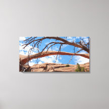 Landscape Arch, Arches National Park, Utah