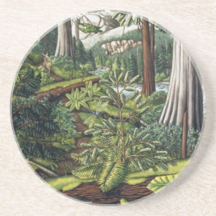 Landscape Art Coaster Old Growth Forest Coasters