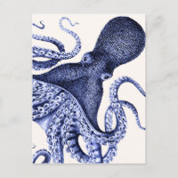 Landscape Blue Octopus