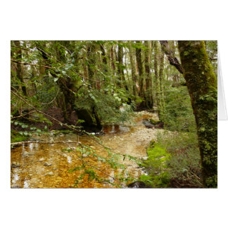 Landscape cards, Ballroom Forest Cradle Mountain