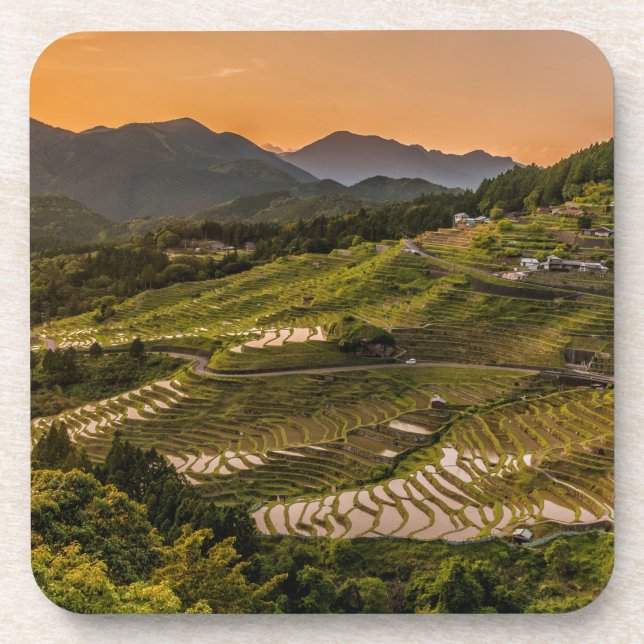 Landscape Coaster (Front)