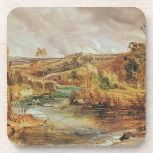 Landscape Coaster