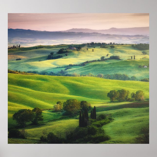 Landscape Greenery: Light Painted Serenity Poster (Front)
