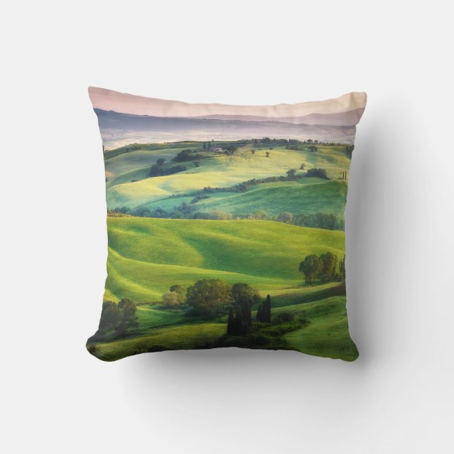 Landscape Greenery: Light Painted Serenity Throw Pillow (Front)