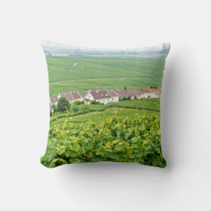 landscape in Champagne-Ardenne, France Throw Pillow
