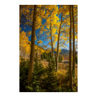 Landscape in San Juan Mountains