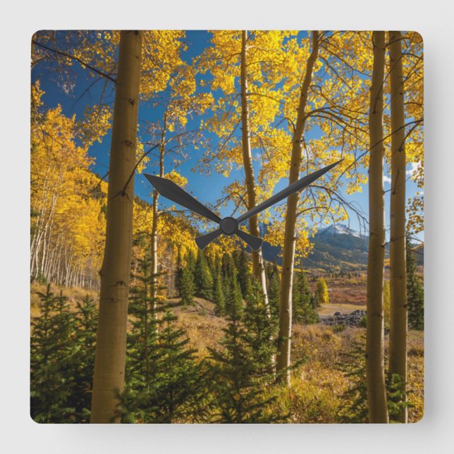 Landscape in San Juan Mountains Square Wall Clock (Front)