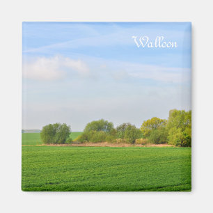 landscape in Walloon, province Liege Magnet