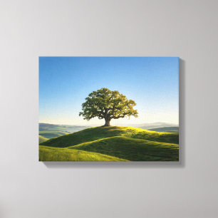 Landscape No. 6, Landscape Series Canvas Print