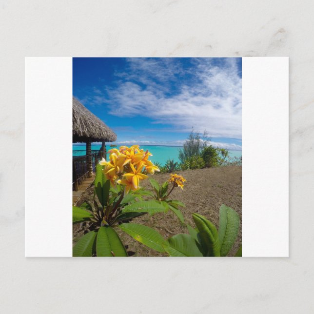 Landscape of bora bora postcard (Front)