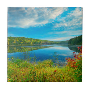 Landscape of Costello Lake Tile