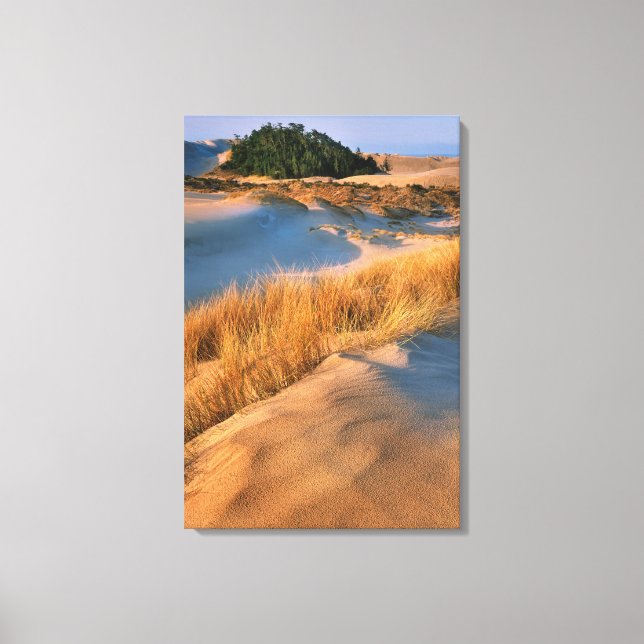 Landscape Of Oregon Sand Dunes Canvas Print (Front)