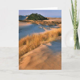 Landscape Of Oregon Sand Dunes Card