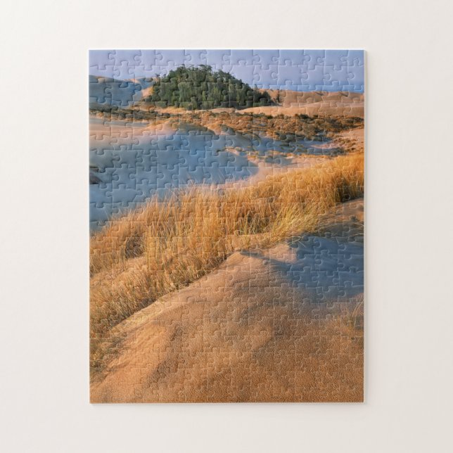 Landscape Of Oregon Sand Dunes Jigsaw Puzzle (Vertical)