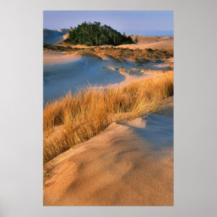 Landscape Of Oregon Sand Dunes Poster