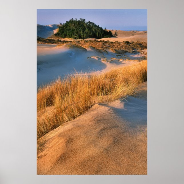 Landscape Of Oregon Sand Dunes Poster (Front)