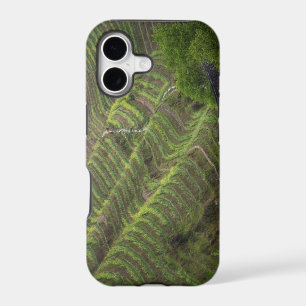 Landscape of rice terraces in the mountain,