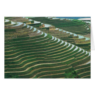Landscape of rice terraces in the mountain, 3