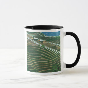 Landscape of rice terraces in the mountain, 3 mug