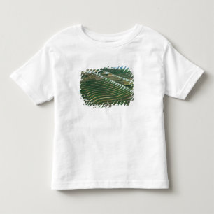 Landscape of rice terraces in the mountain, 3 toddler t-shirt