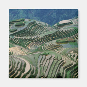 Landscape of rice terraces in the mountain, magnet