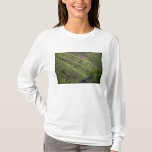Landscape of rice terraces in the mountain, T-Shirt