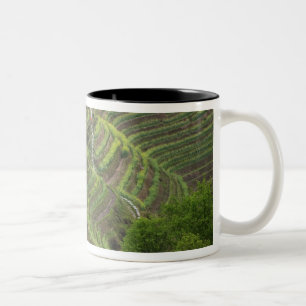 Landscape of rice terraces in the mountain, Two-Tone coffee mug