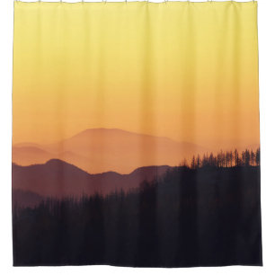 LANDSCAPE PHOTO OF FOREST DURING GOLDEN HOUR